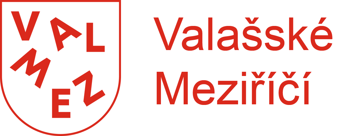 Valmez logo